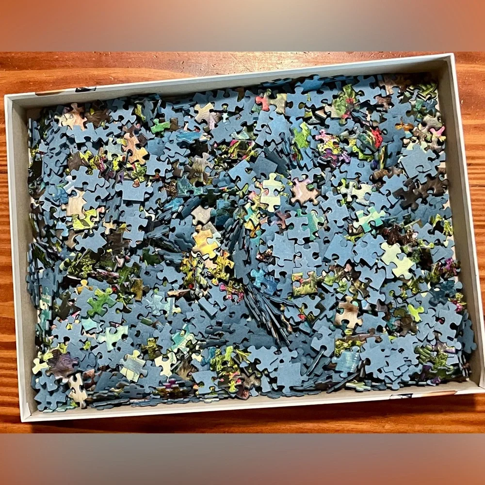 Ravensburger premium 1000